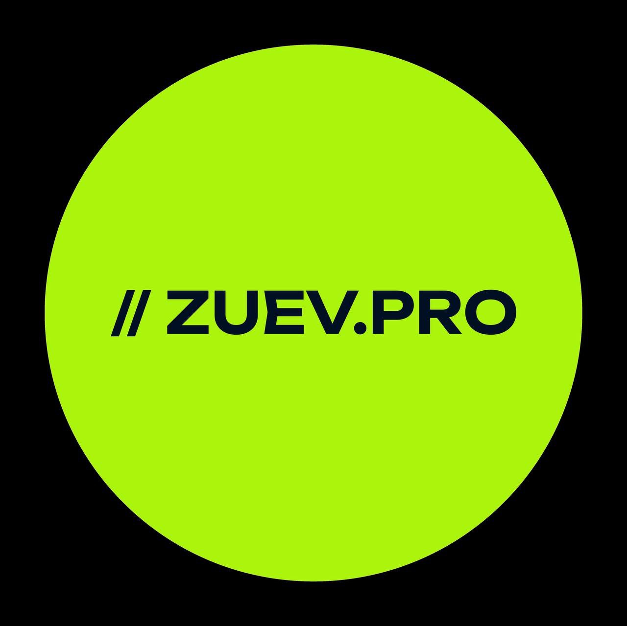 ZUEV.PRO